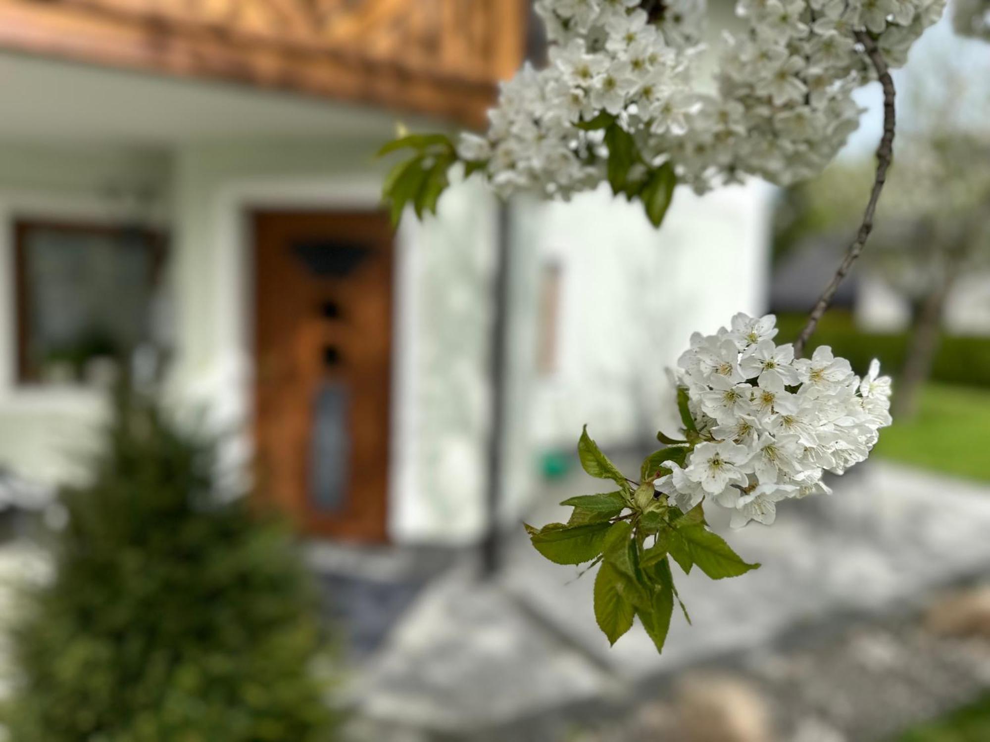 Romantic Chalet - Alpine Getaway Salzkammergut Viechtwang Extérieur photo